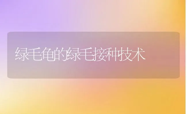 绿毛龟的绿毛接种技术 | 动物养殖学堂