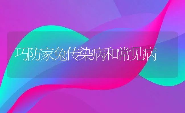 巧防家兔传染病和常见病 | 动物养殖学堂