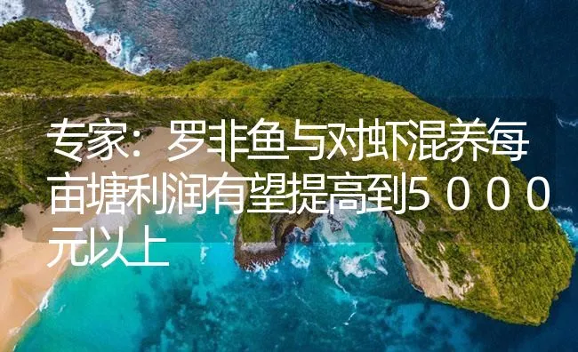 专家：罗非鱼与对虾混养每亩塘利润有望提高到5000元以上 | 海水养殖技术