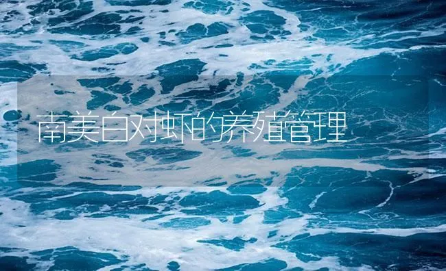 南美白对虾的养殖管理 | 海水养殖技术