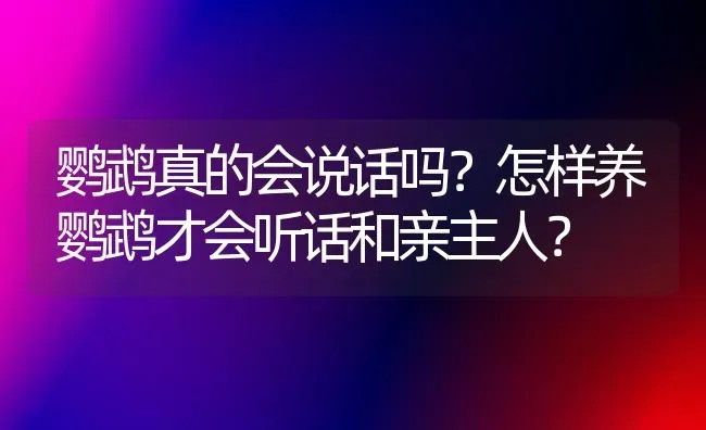 鹦鹉真的会说话吗？怎样养鹦鹉才会听话和亲主人？ | 动物养殖问答