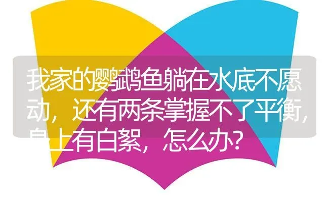 我家的鹦鹉鱼躺在水底不愿动，还有两条掌握不了平衡，身上有白絮，怎么办？ | 鱼类宠物饲养