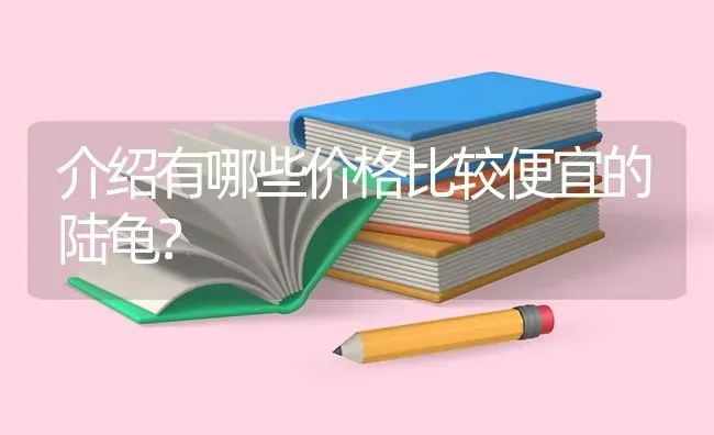 介绍有哪些价格比较便宜的陆龟？ | 动物养殖问答