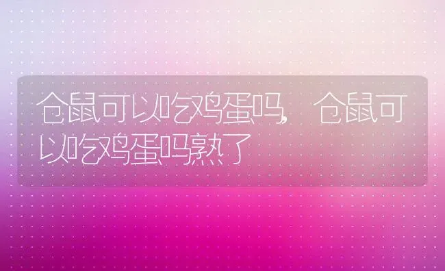 仓鼠可以吃鸡蛋吗,仓鼠可以吃鸡蛋吗熟了 | 宠物百科知识