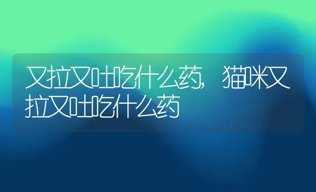 又拉又吐吃什么药,猫咪又拉又吐吃什么药 | 宠物百科知识