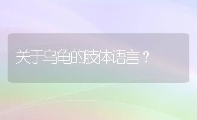 关于乌龟的肢体语言？ | 动物养殖问答