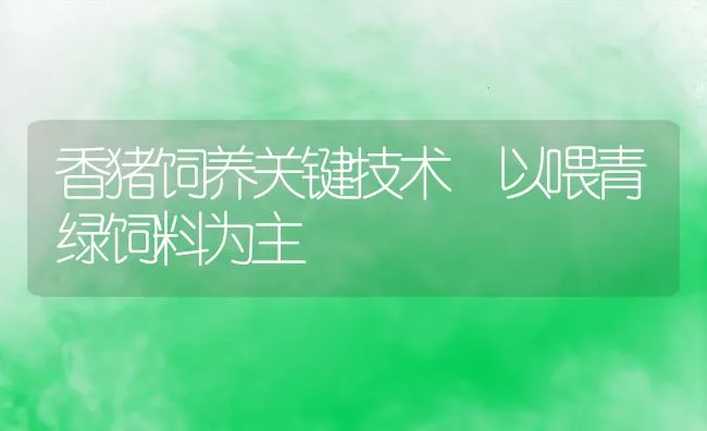 鸡新城疫、传染性囊并球虫病混合感染的诊治 | 动物养殖学堂