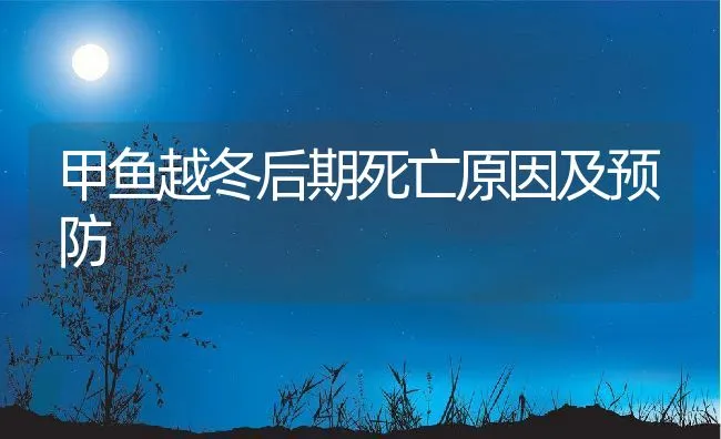 甲鱼越冬后期死亡原因及预防 | 动物养殖饲料