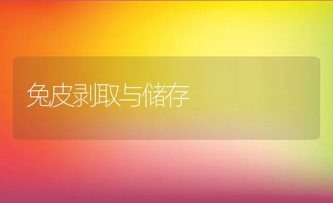 全蝎黑肚病 | 动物养殖学堂