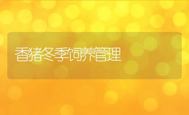 兔疫苗注射应间隔多长时间？ | 动物养殖学堂