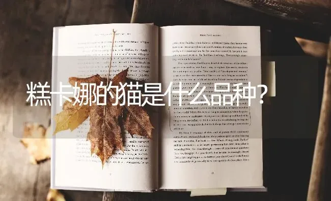 阿拉斯加，每天喂食量是体重的多少？ | 动物养殖问答