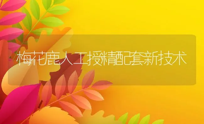 獭兔的饲养管理 | 动物养殖学堂