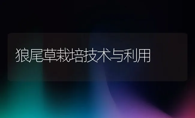 家兔育肥有技巧 | 动物养殖学堂