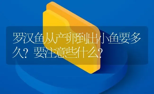 罗汉鱼从产卵到出小鱼要多久?要注意些什么？ | 鱼类宠物饲养