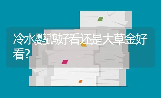 冷水鹦鹉好看还是大草金好看？ | 鱼类宠物饲养