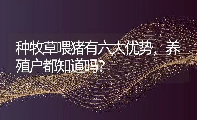 种牧草喂猪有六大优势，养殖户都知道吗？ | 动物养殖百科