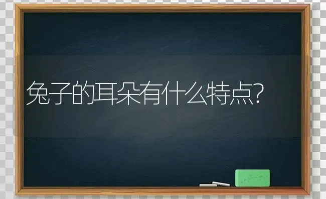 兔子的耳朵有什么特点？ | 动物养殖问答