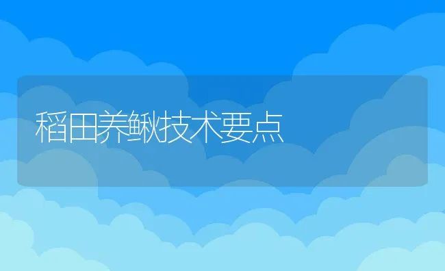 稻田养鳅技术要点 | 动物养殖学堂