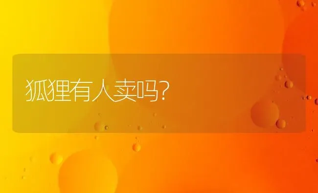 狐狸有人卖吗？ | 动物养殖问答