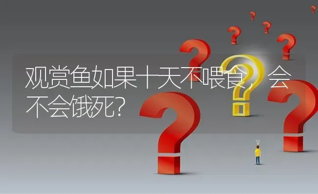 观赏鱼如果十天不喂食，会不会饿死？ | 鱼类宠物饲养