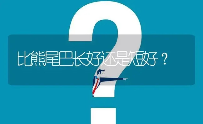 比熊尾巴长好还是短好？ | 动物养殖问答