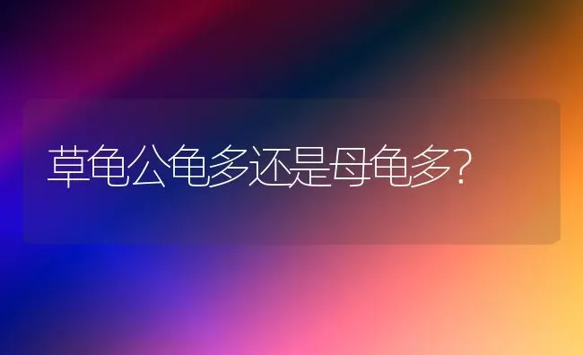 草龟公龟多还是母龟多？ | 动物养殖问答