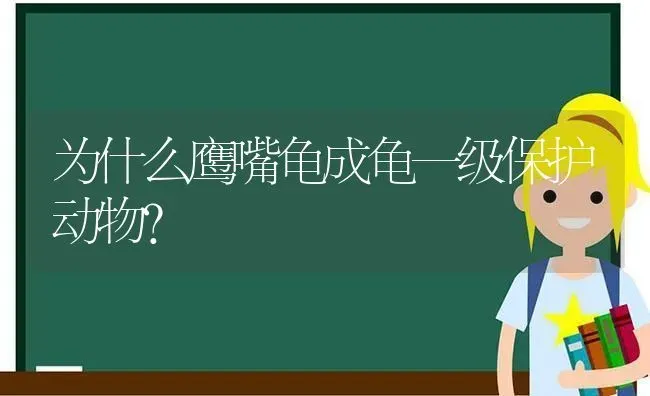 为什么鹰嘴龟成龟一级保护动物？ | 动物养殖问答