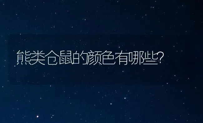 熊类仓鼠的颜色有哪些？ | 动物养殖问答