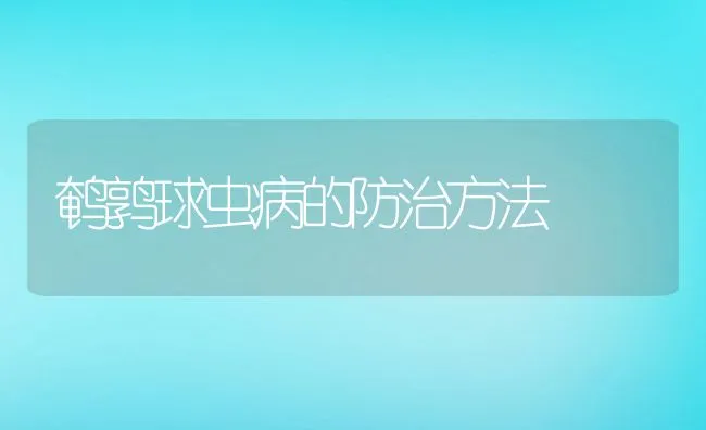 獭兔皮的防腐保存技术 | 水产养殖知识