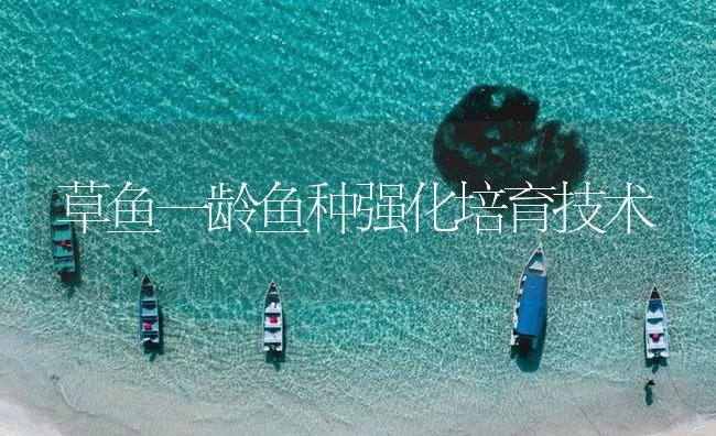 草鱼一龄鱼种强化培育技术 | 海水养殖技术