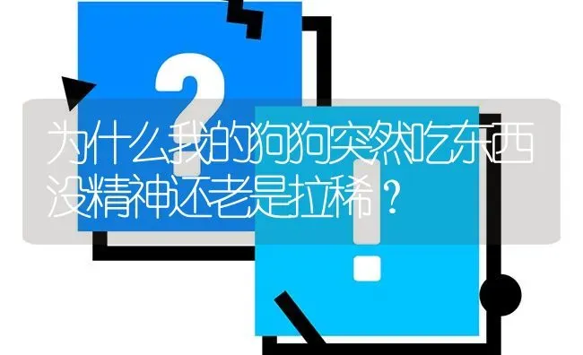 为什么我的狗狗突然吃东西没精神还老是拉稀？ | 动物养殖问答