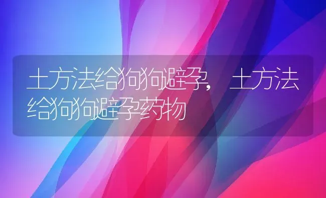 土方法给狗狗避孕,土方法给狗狗避孕药物 | 宠物百科知识