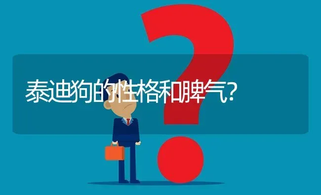 泰迪狗的性格和脾气？ | 动物养殖问答