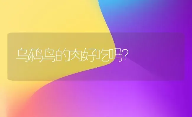 吉娃娃为啥腰弓着背走路？ | 动物养殖问答