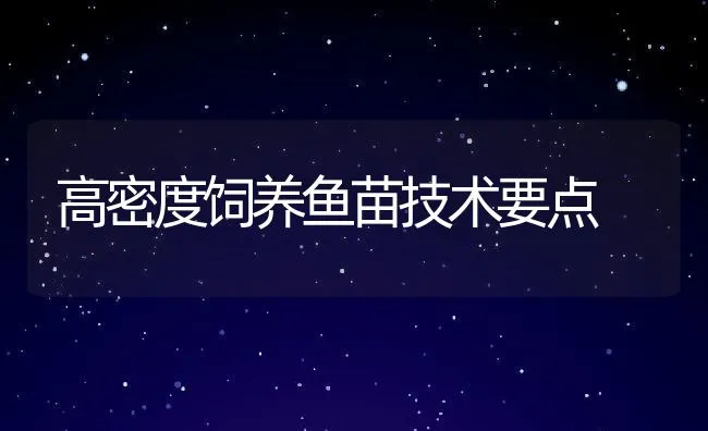 高密度饲养鱼苗技术要点 | 动物养殖饲料