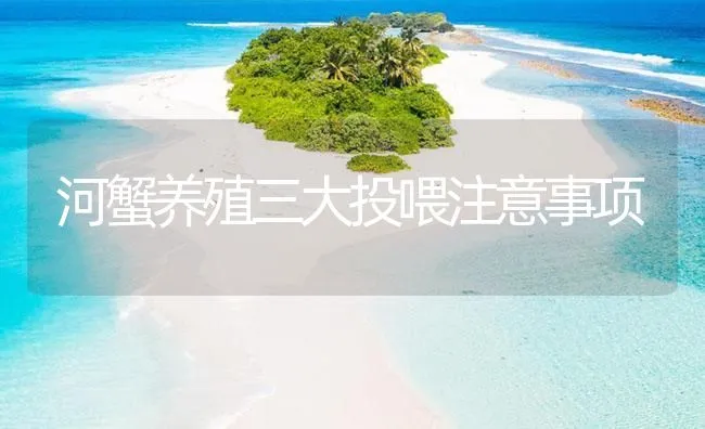 河蟹养殖三大投喂注意事项 | 海水养殖技术