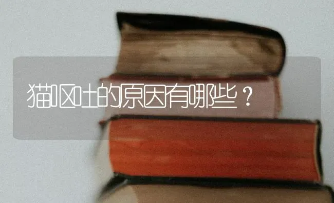 猫呕吐的原因有哪些？ | 动物养殖问答