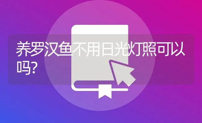 养罗汉鱼不用日光灯照可以吗？ | 鱼类宠物饲养