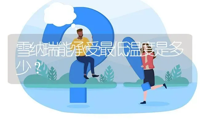 雪纳瑞能承受最低温度是多少？ | 动物养殖问答