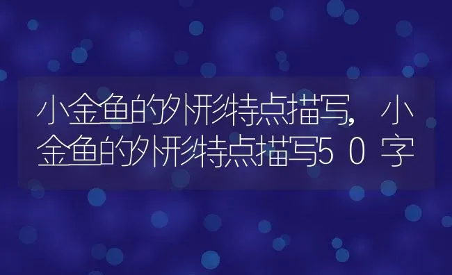 小金鱼的外形特点描写,小金鱼的外形特点描写50字 | 宠物百科知识