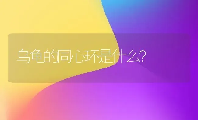 乌龟的同心环是什么？ | 动物养殖问答