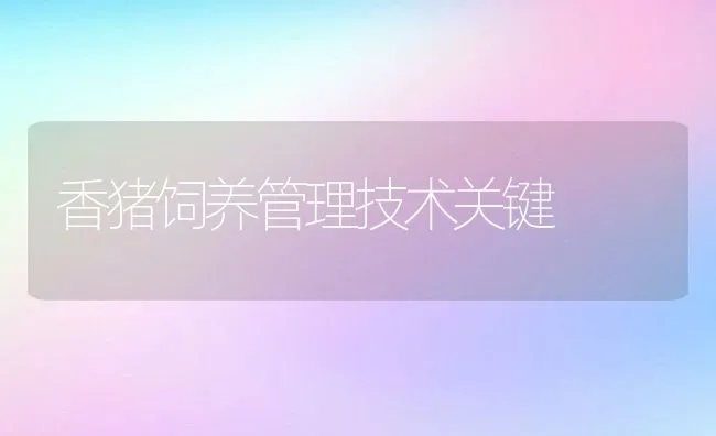 坑道式孵化巴西龟苗 | 海水养殖技术