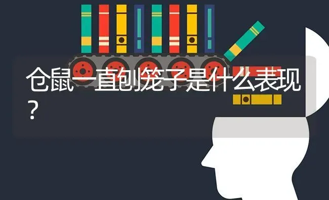 仓鼠一直刨笼子是什么表现？ | 动物养殖问答