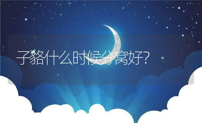 子貉什么时候分窝好？ | 动物养殖学堂