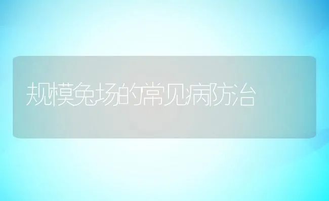 规模兔场的常见病防治 | 水产养殖知识