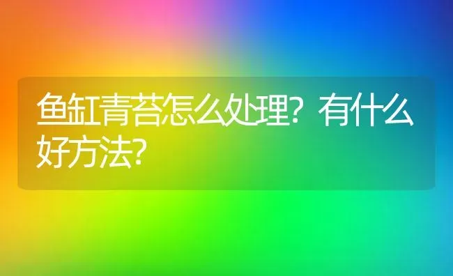 鱼缸青苔怎么处理？有什么好方法？ | 鱼类宠物饲养