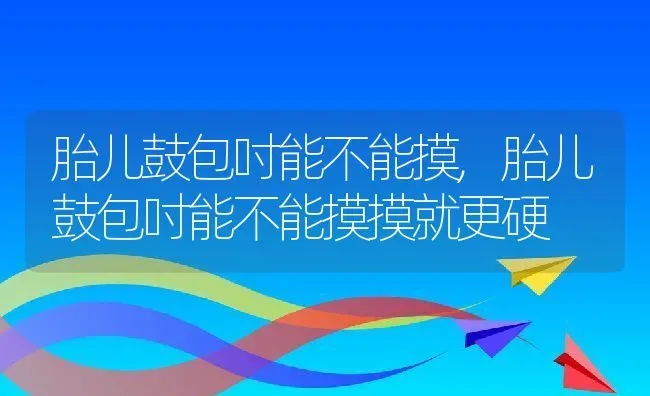 胎儿鼓包吋能不能摸,胎儿鼓包吋能不能摸摸就更硬 | 宠物百科知识