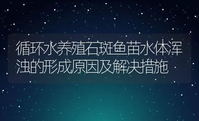 循环水养殖石斑鱼苗水体浑浊的形成原因及解决措施 | 动物养殖教程