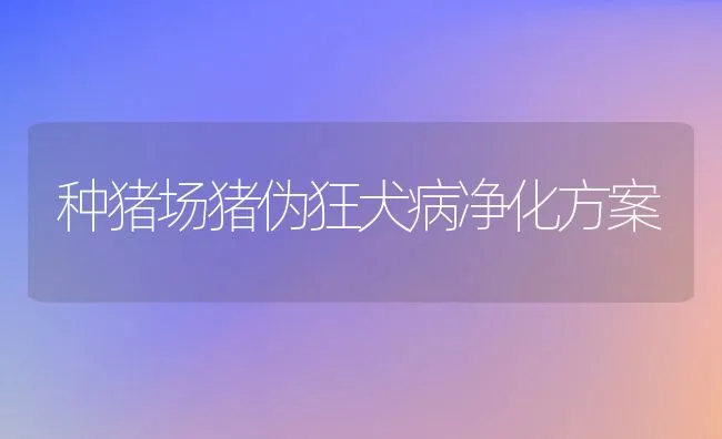 种猪场猪伪狂犬病净化方案 | 动物养殖学堂