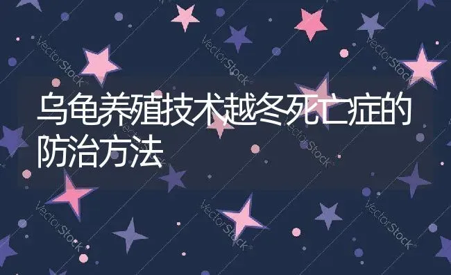 乌龟养殖技术越冬死亡症的防治方法 | 动物养殖教程